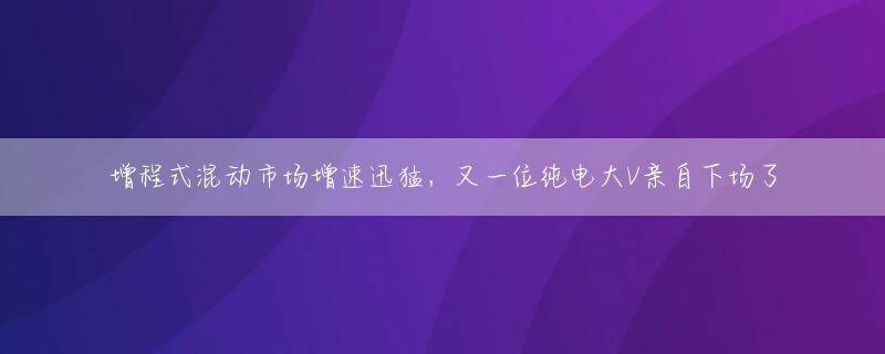 增程式混动市场增速迅猛，又一位纯电大V亲自下场了