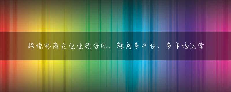 跨境电商企业业绩分化，转向多平台、多市场运营