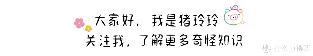 微距镜头只适合拍微距？玲玲认为产品晒物也能拍啦