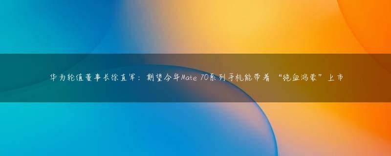 华为轮值董事长徐直军：期望今年Mate 70系列手机能带着 “纯血鸿蒙”上市