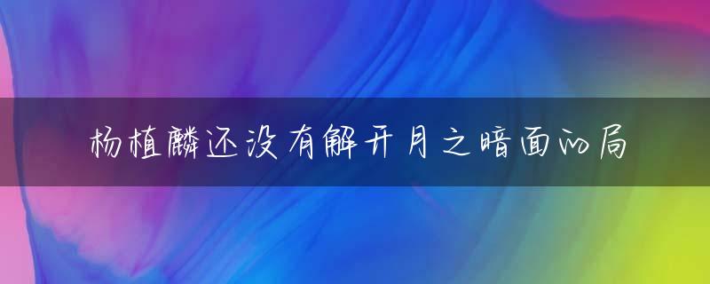 杨植麟还没有解开月之暗面的局