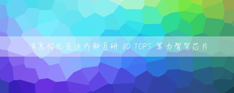 消息称比亚迪内部自研 80 TOPS 算力智驾芯片