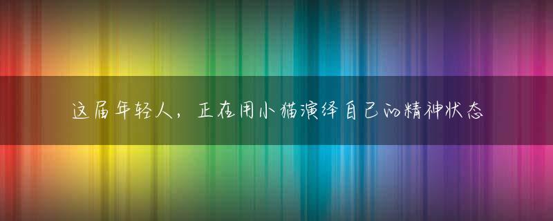 这届年轻人，正在用小猫演绎自己的精神状态