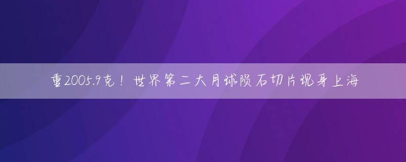 重2005.9克！世界第二大月球陨石切片现身上海